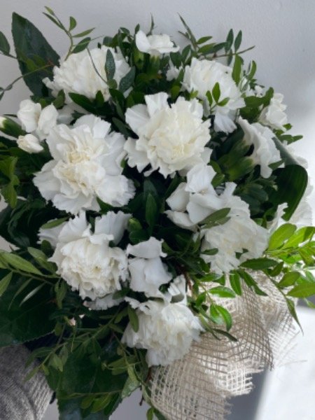 SURUKIMPPU  matala neilikka valkoinen